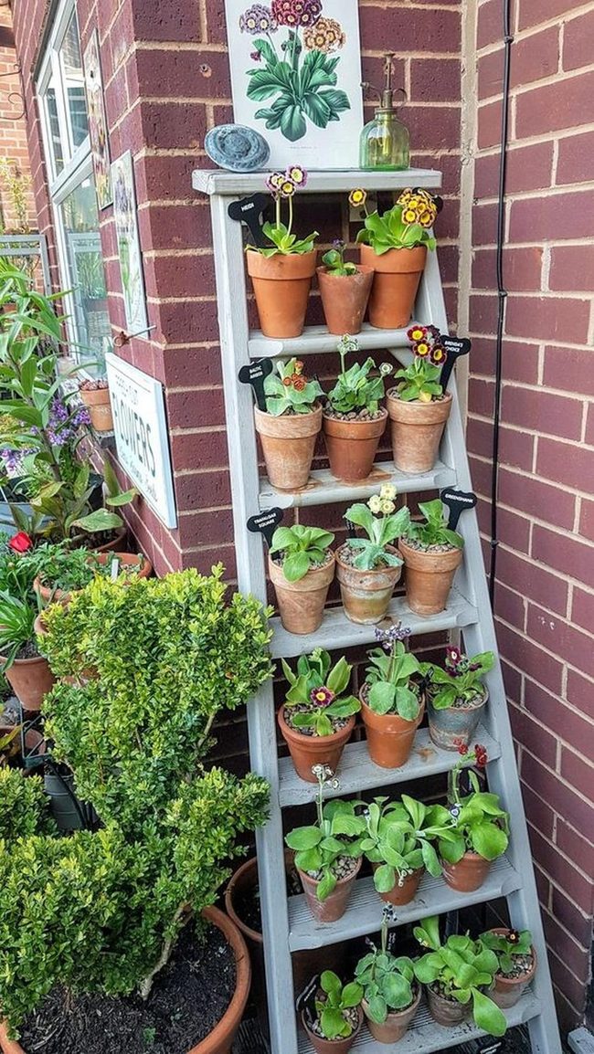 Terracotta Pots Against Red Brick
