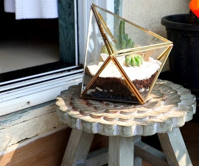 Glass Miniature Desert Gardens