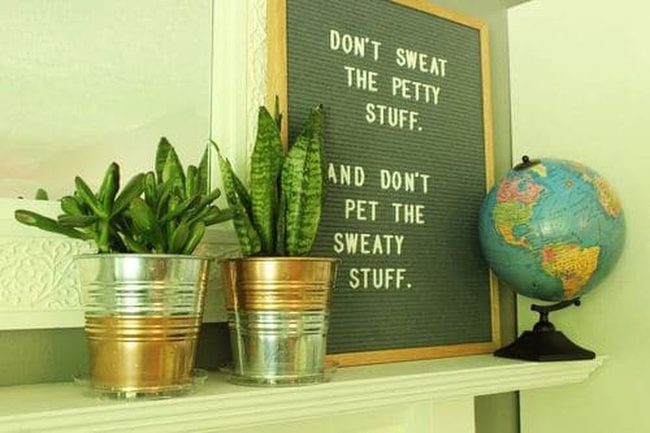 Metallic Copper Planter Collection
