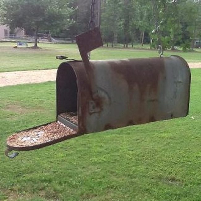 Vintage Mailbox Bird Feeder