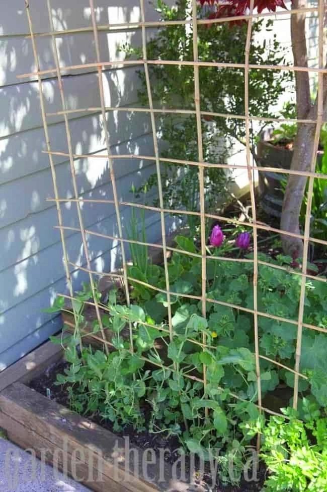 Woven Bamboo Climbing Frame