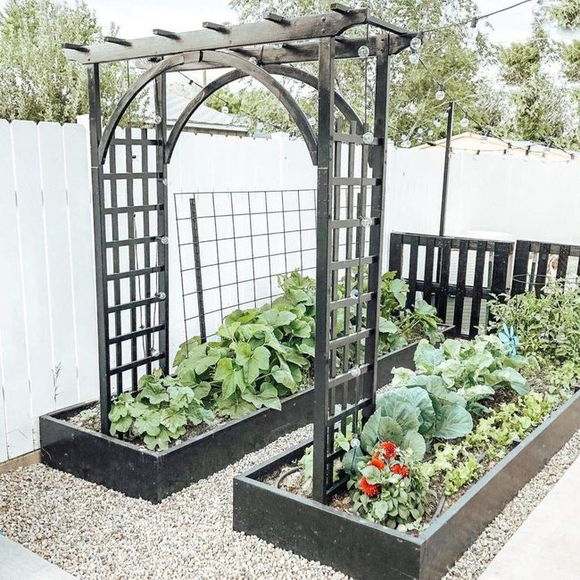 Wooden Beds With Climbing Beans