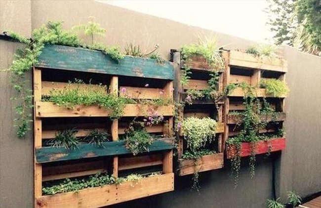 Stacked Pallet Garden Wall