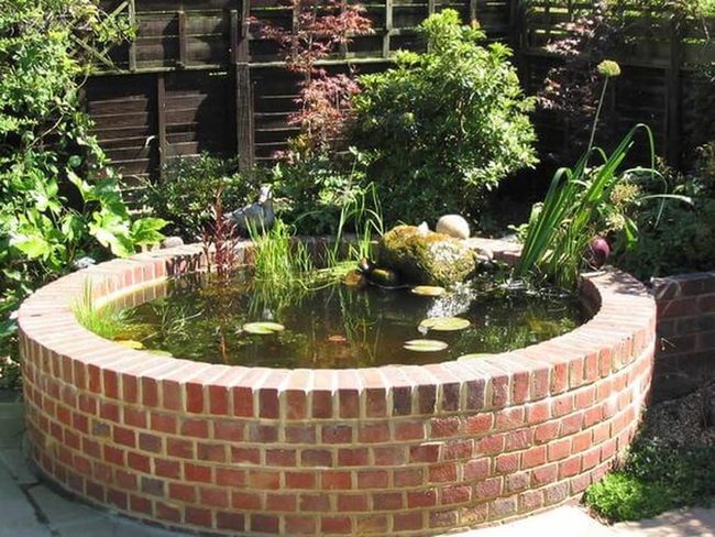 Brick Pond Wildlife Ecosystem