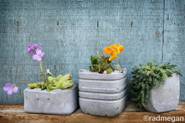 Concrete And Purple Blooms Display