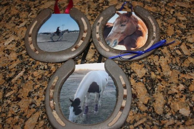 Chestnut Horses In Metal Frames