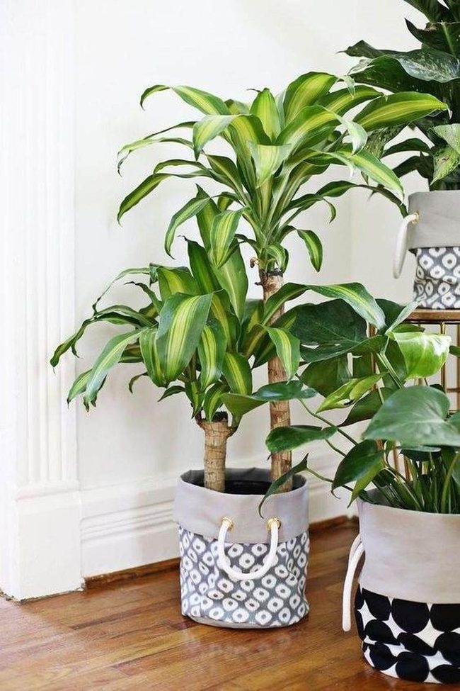 Canvas Fabric Plant Containers