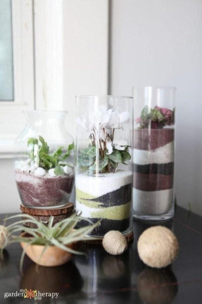 Colorful Sand Layers With Living Plants