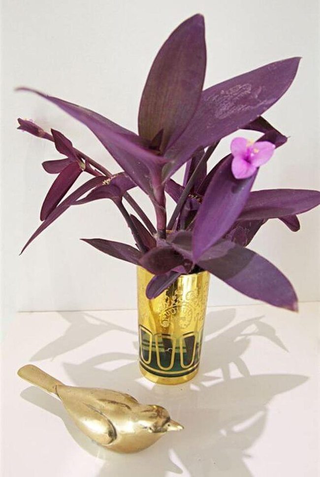 Purple Leaves With Gold Vase