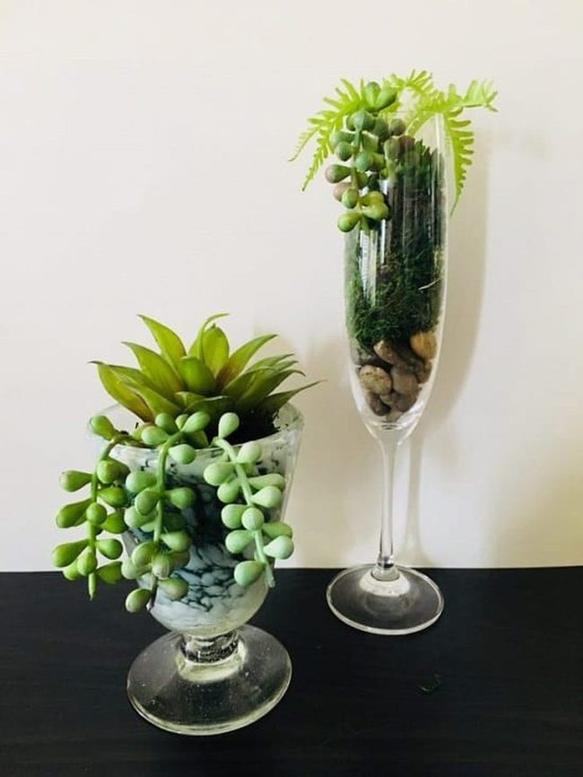 Cascading Succulent In Glass