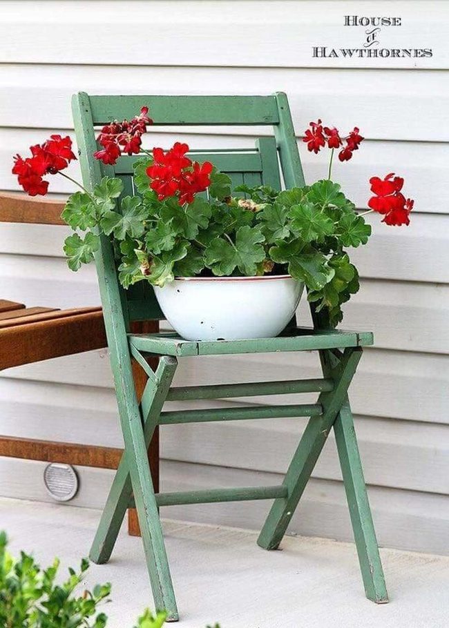 Red Geraniums In Weathered Porcelain