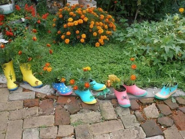 Yellow And Blue Shoe Planters