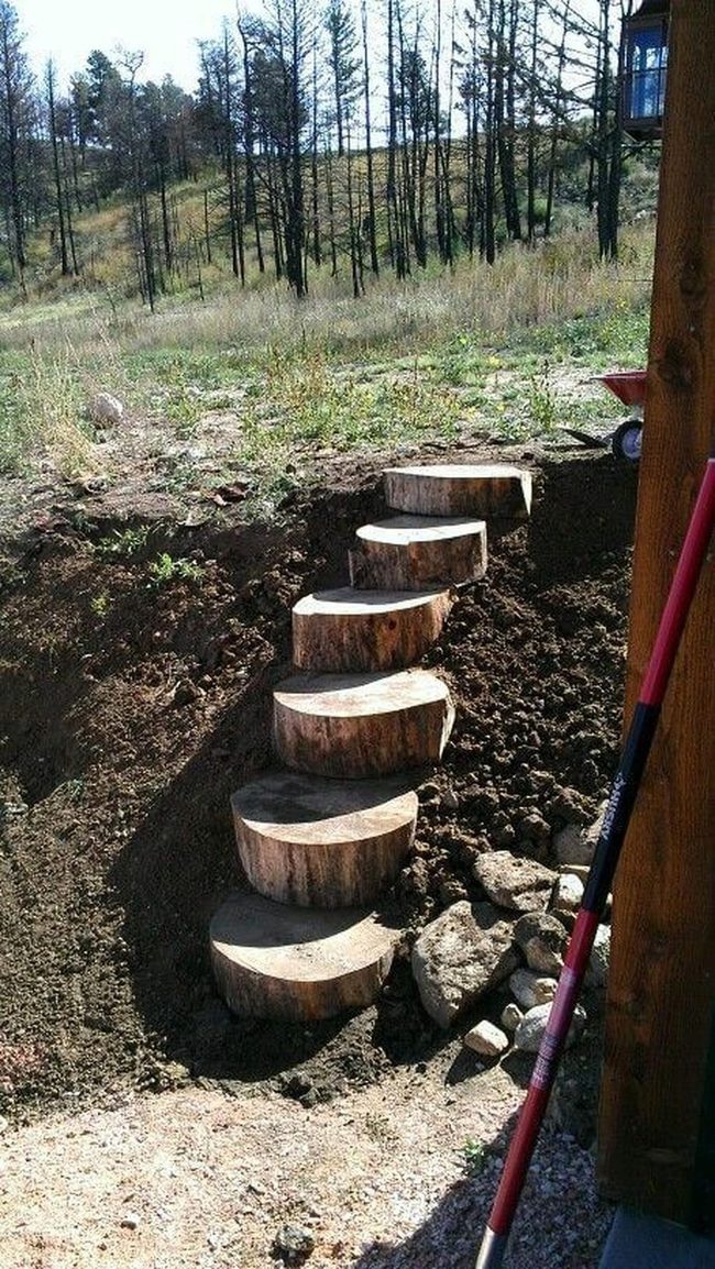 Tree Trunk Steps Through Garden