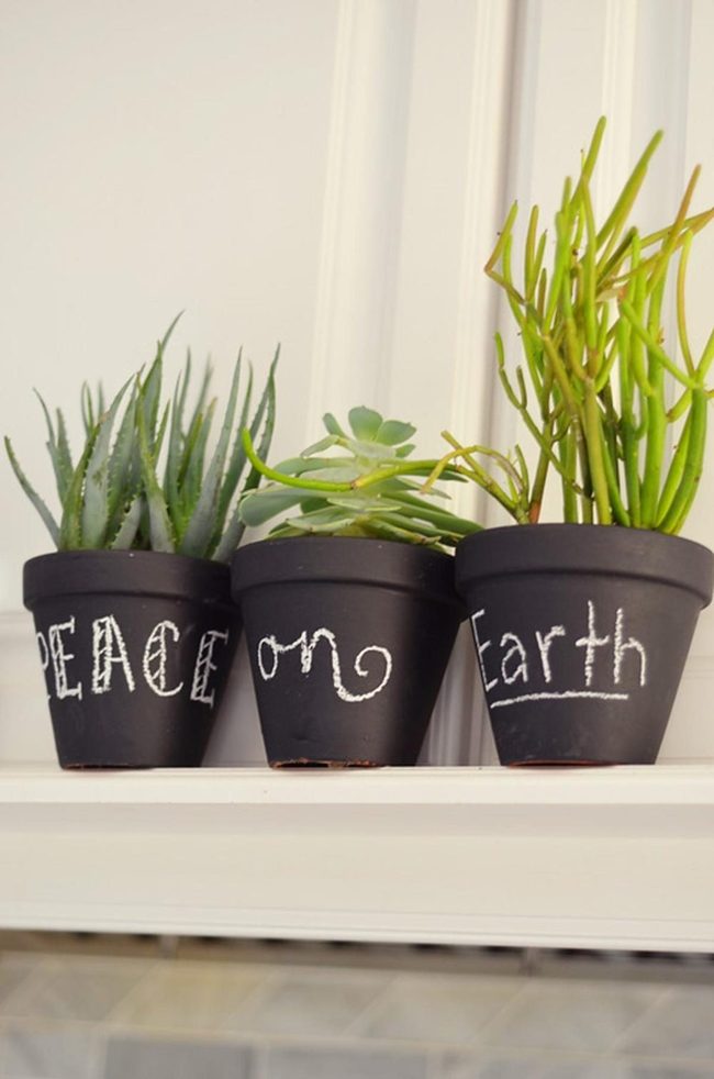 Green Succulents White Shelf Black Pots