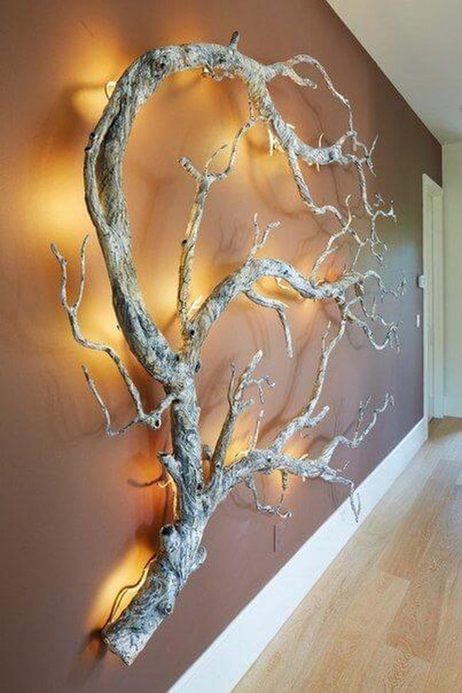 Branches And Shadow Play
