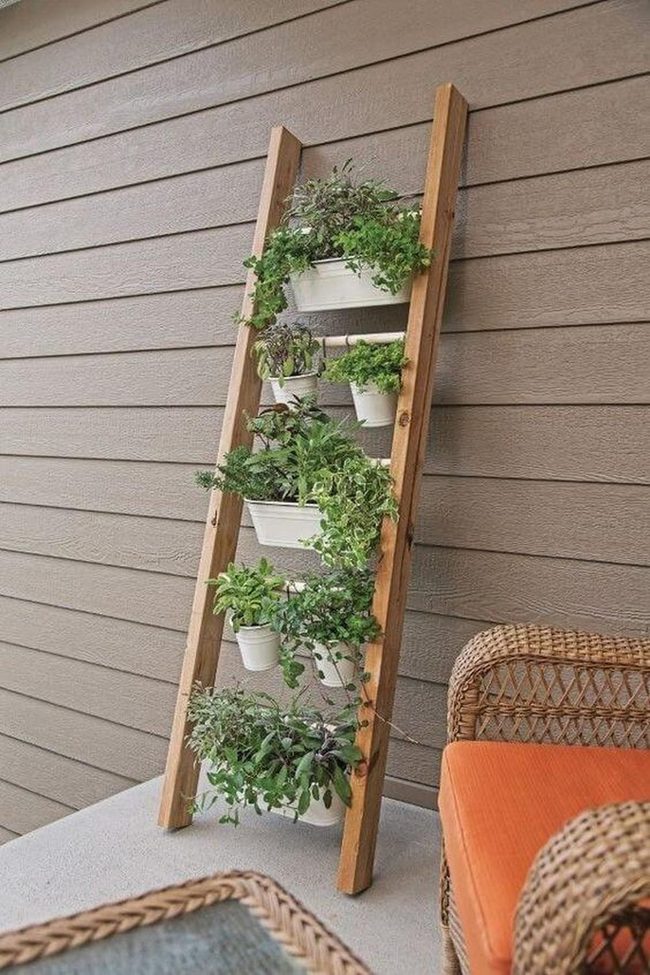 Tiered Herbs On Wood Frame