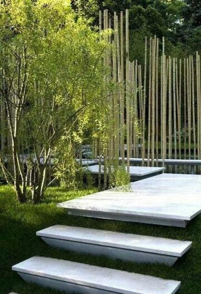 White Stone Steps Through Green