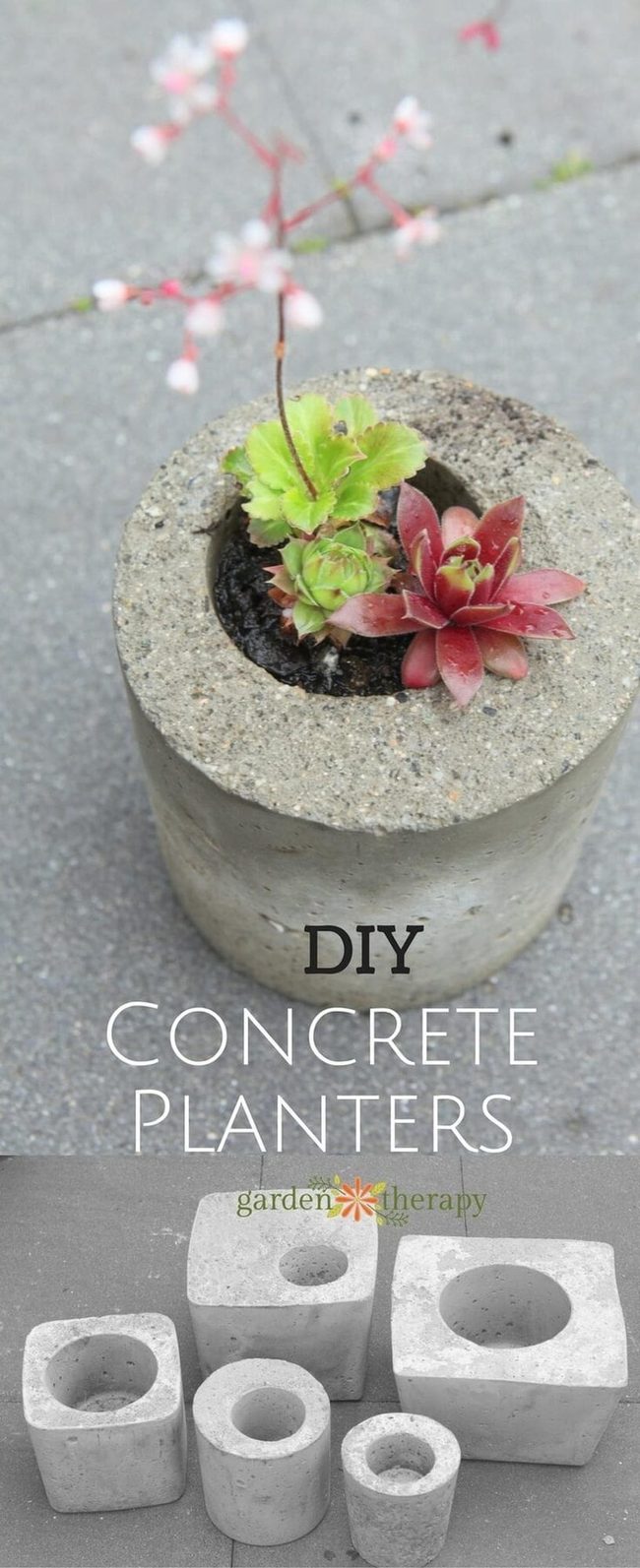 Gray Concrete Planters Burst Blooms