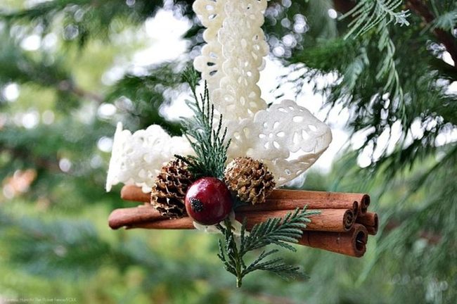 Cinnamon Sticks With Red Berries