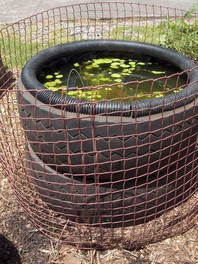 Dark Rubber Pond With Living Plants