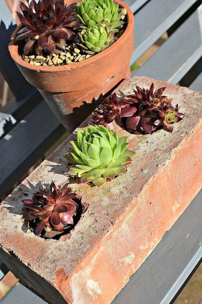Weathered Brick Succulent Desk Planters