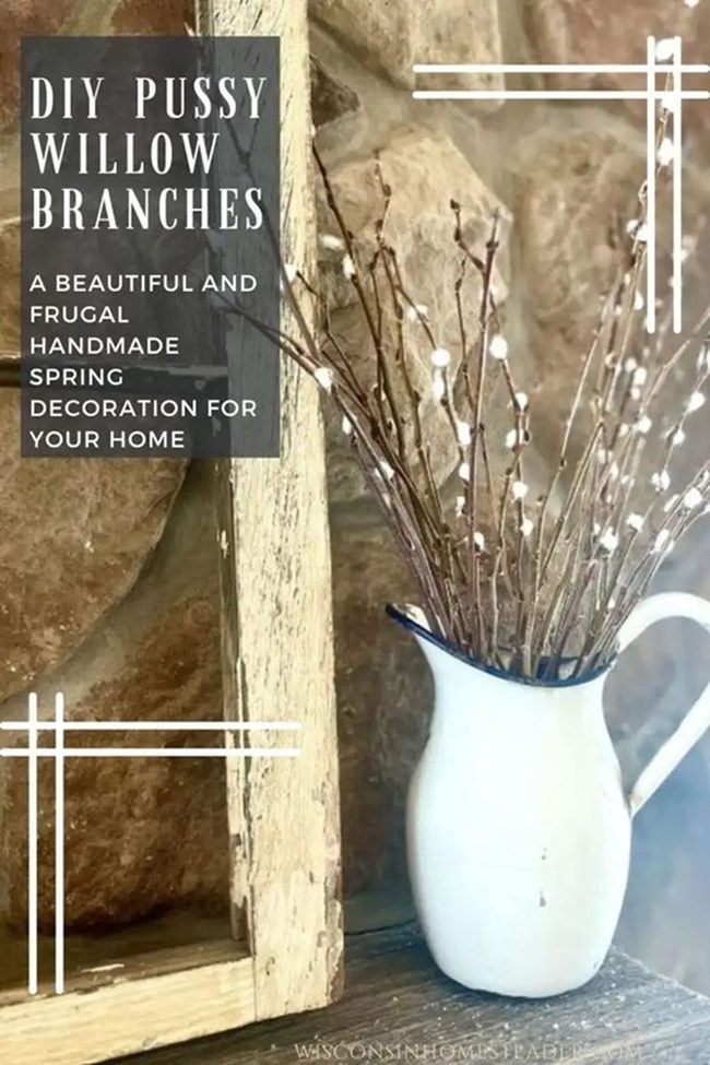 Silvery Fuzzy Branches Frame Portraits