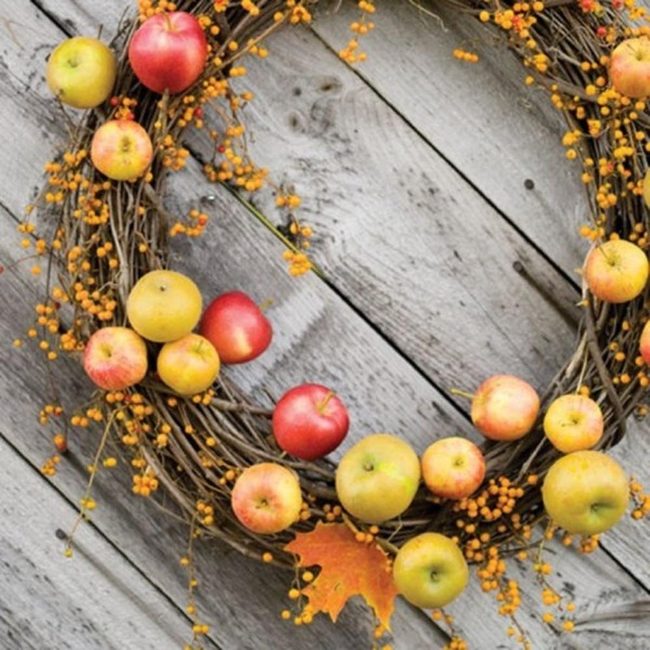 Autumn Apples On Twisted Branches