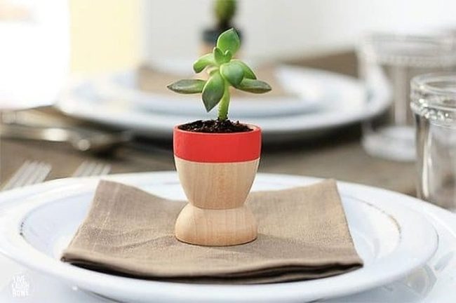 Wooden Egg Succulent Planters