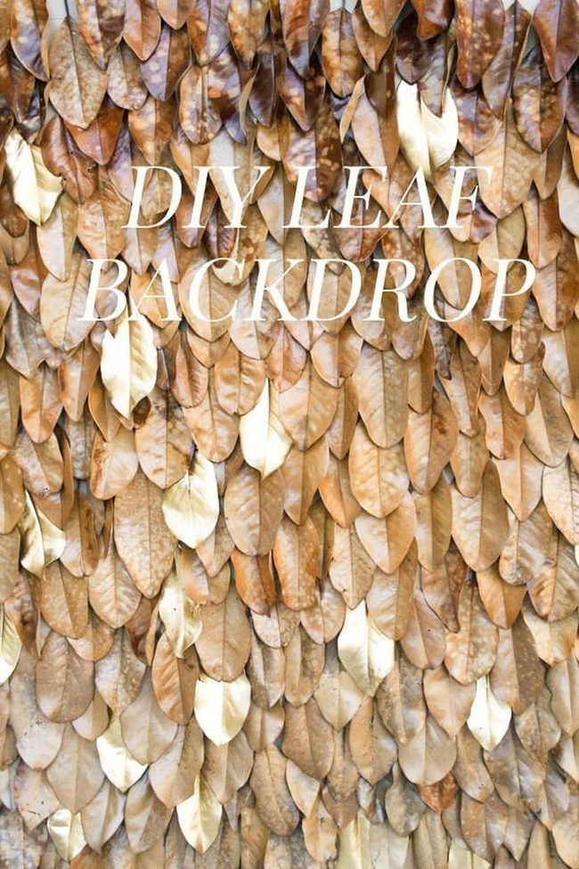 Autumn Leaves Cover Wall