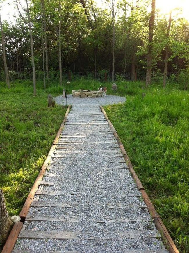 Weathered Pallet Pathway Through Green