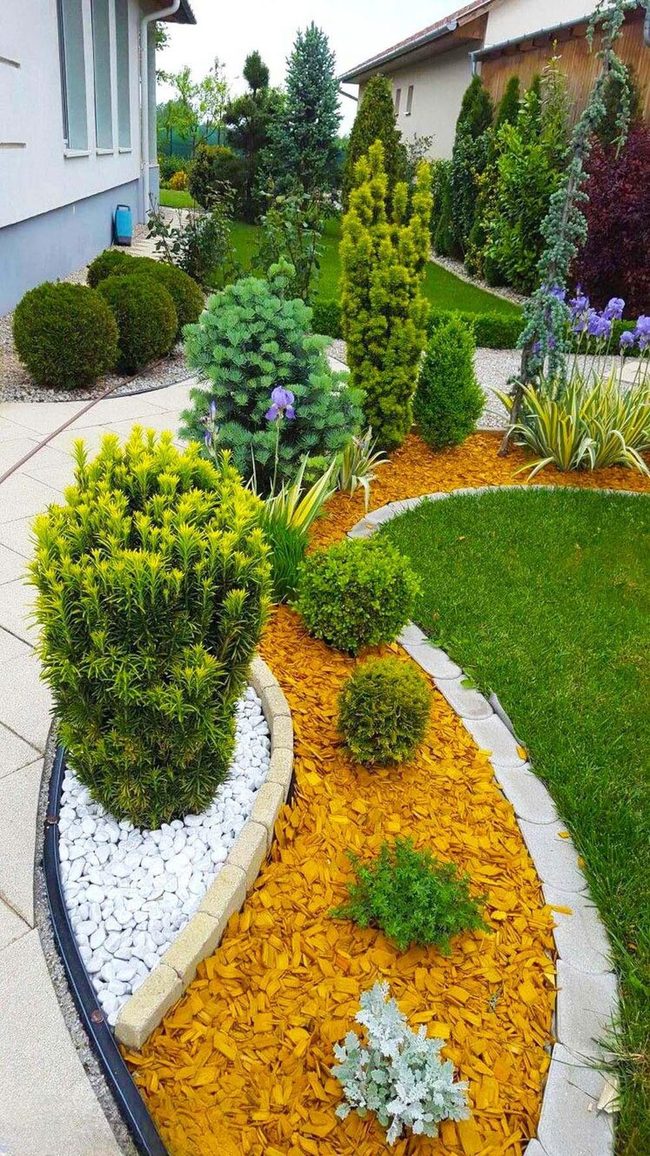 Stone Pathway Through Living Garden