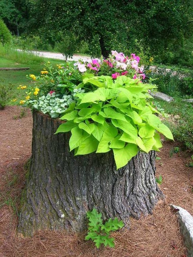 Hollowed Wood Blooms Garden Art