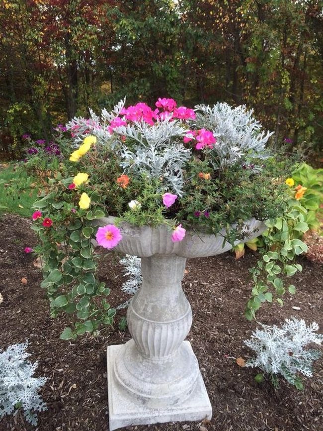 Pink And Yellow Florals In Stone