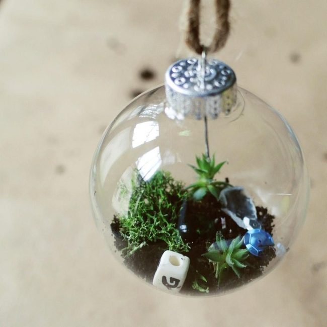 Glass Sphere Succulents With Dice
