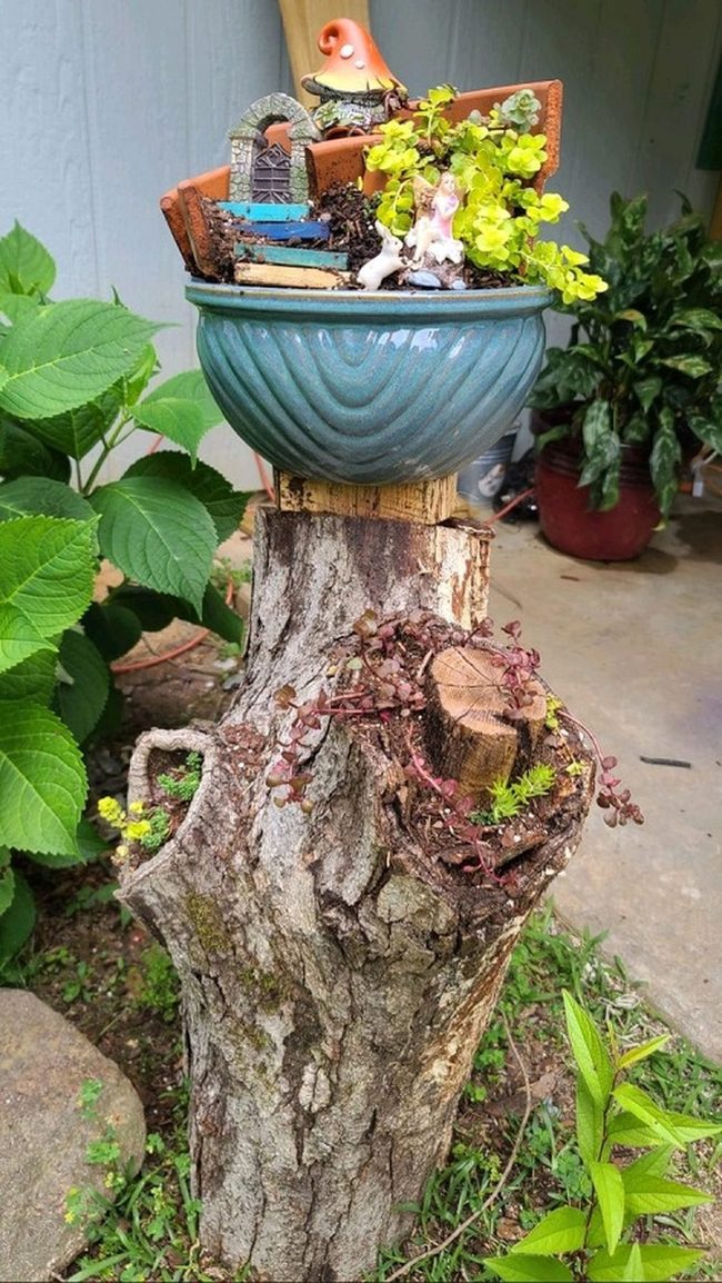 Ceramic Gnomes Among Living Moss