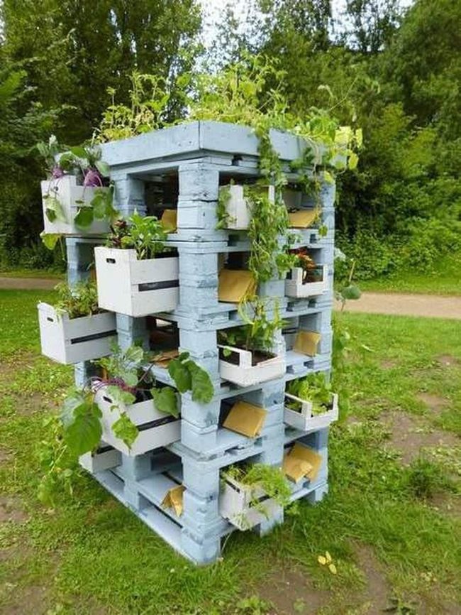 Blue Pallet Garden Wall