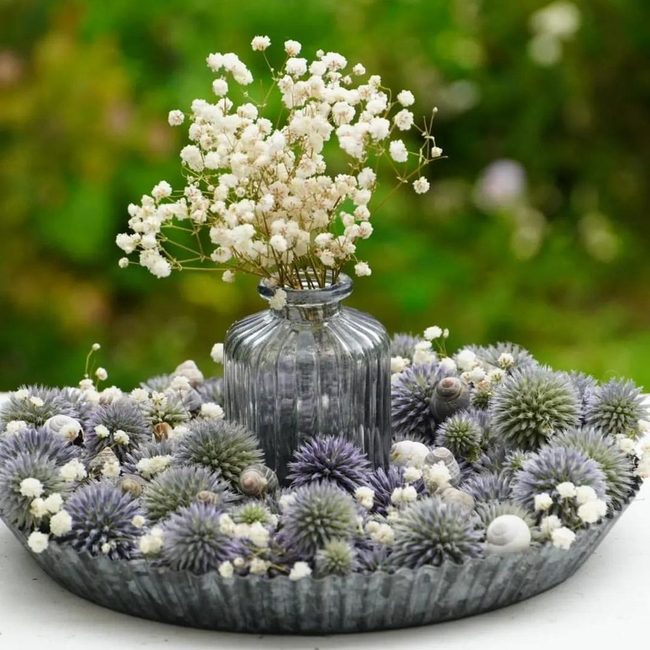 White Blooms With Coastal Shells