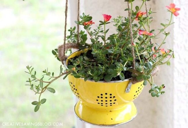 Colander Cascading Plant Displays