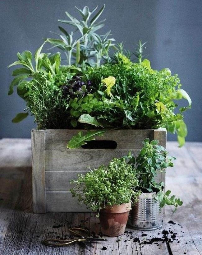 Wooden Herb Boxes Overflowing Blooms