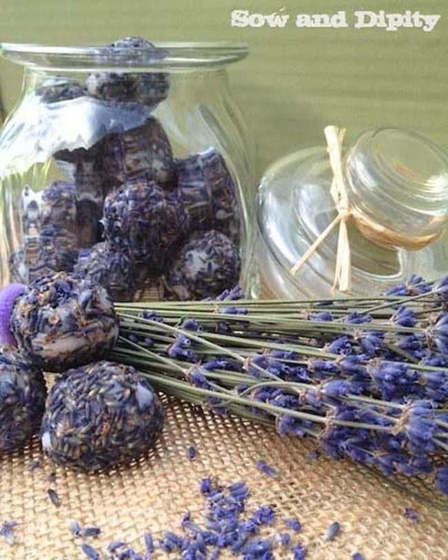 Lavender Coconut Bath Oil Soak