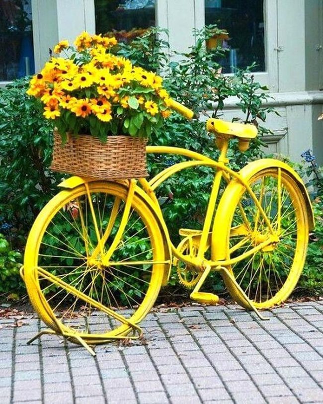 Yellow Bike Planter Overflowing Flowers