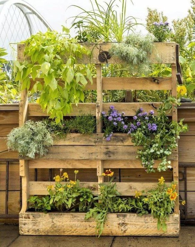 Living Herb Wall In Wood