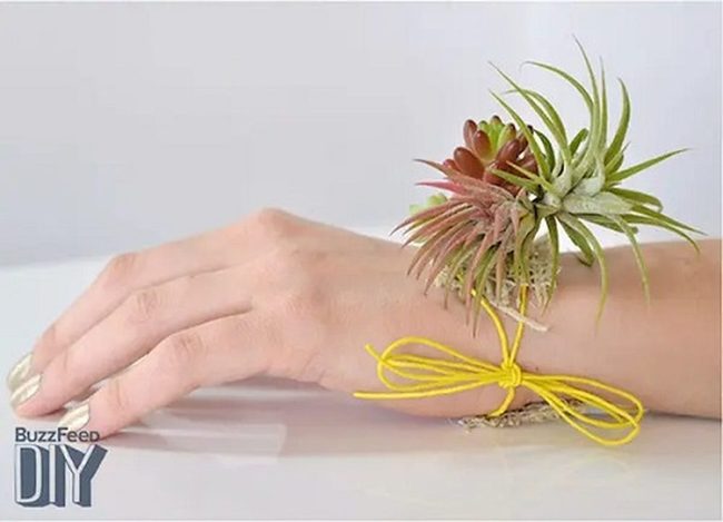 Living Succulent Wrist Garden