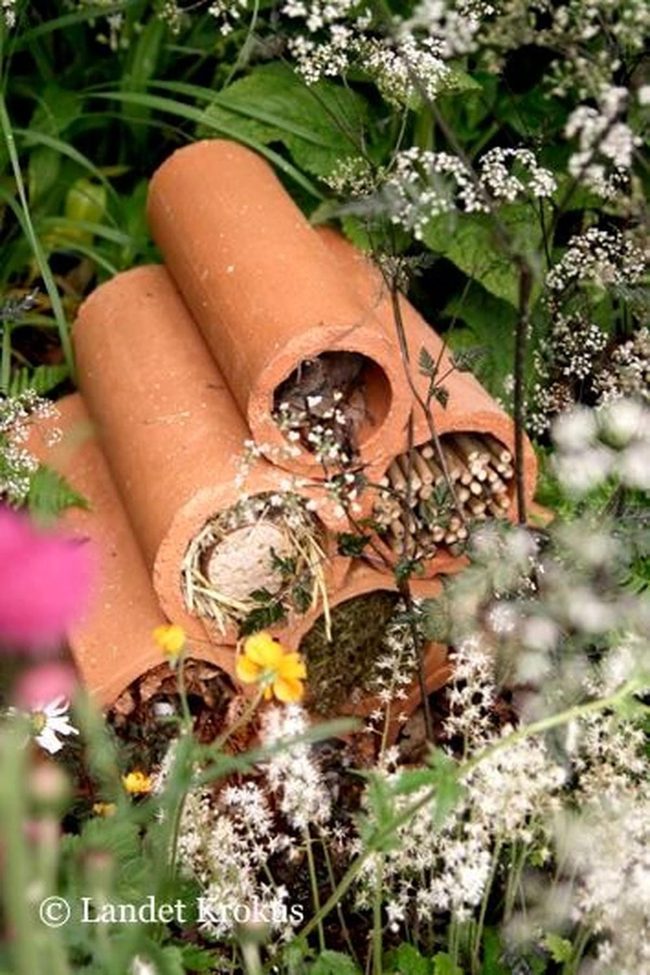 Twigs And Clay Insect Sanctuary