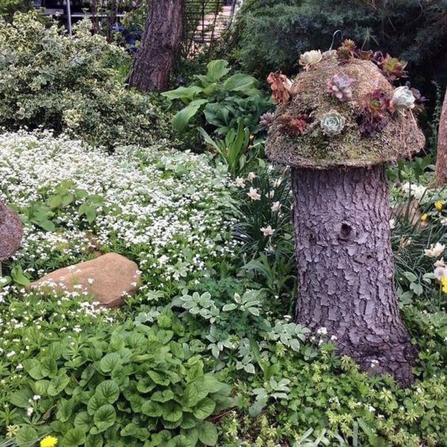 Succulent Stumps With Stone Borders