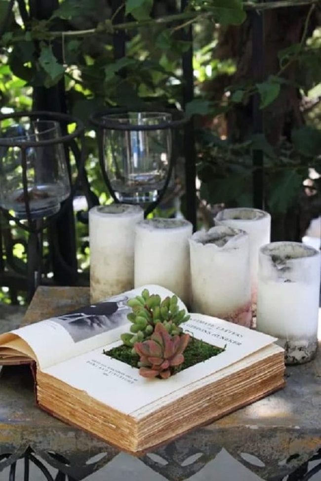 Green Succulents Nested Inside Hollowed Books