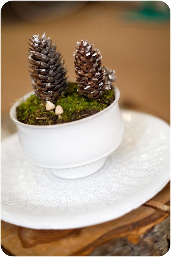 Pinecones, Moss, And Ceramic Elegance