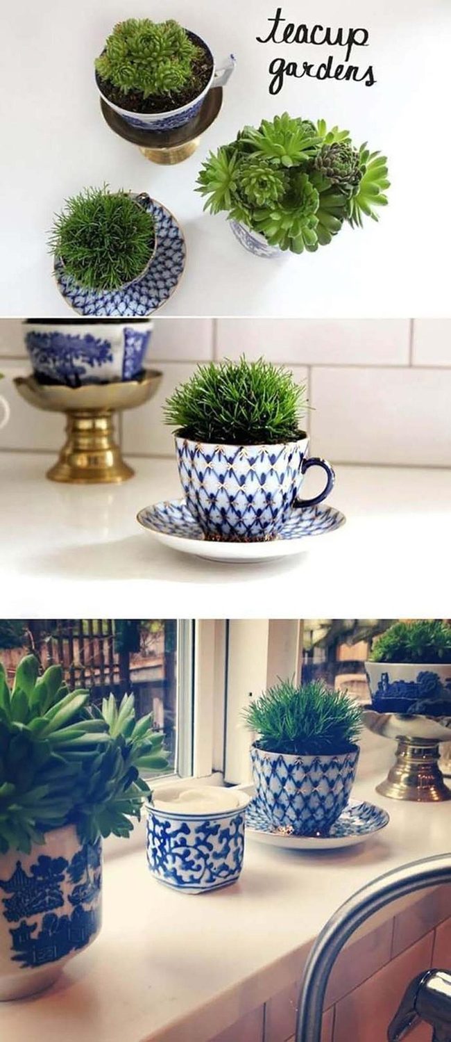 Mismatched Teacup Succulent Garden