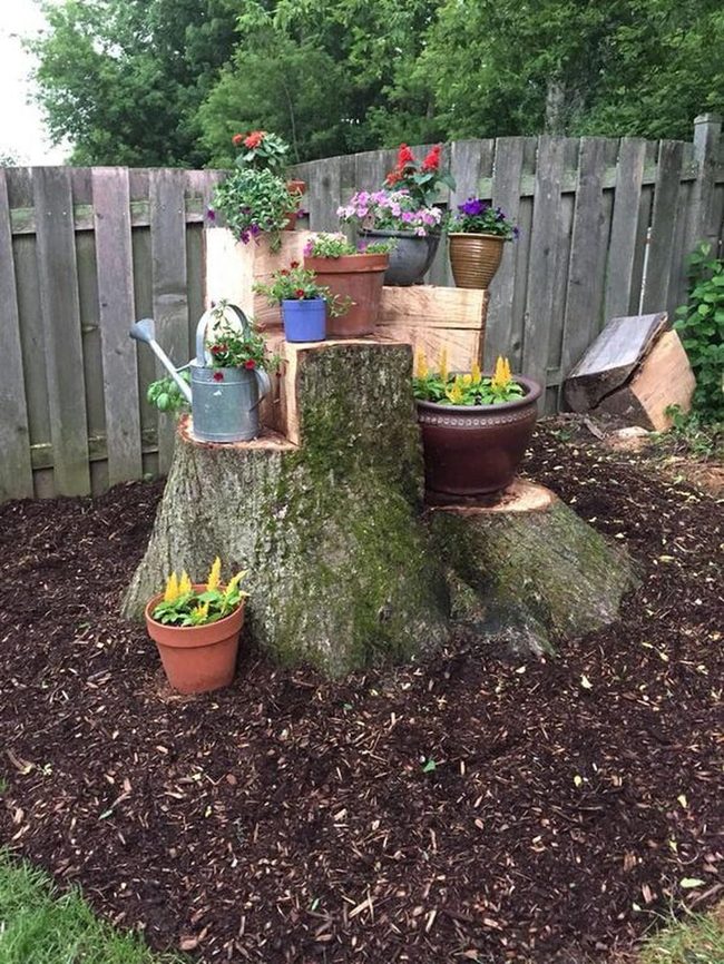 Stump Garden With Blooming Pots