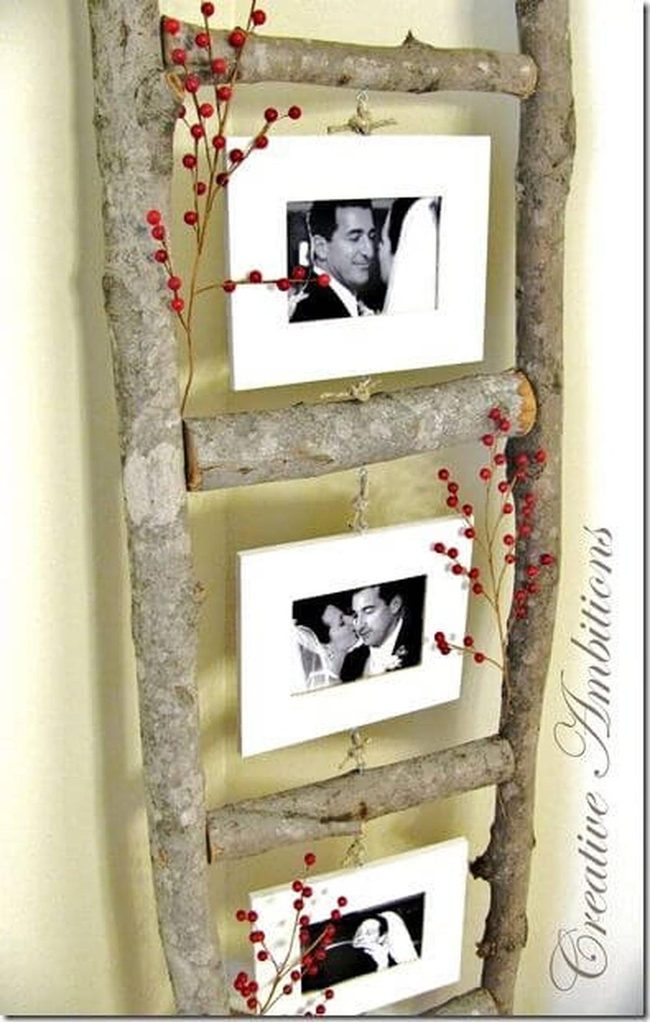 Twisted Branches Red Berries Photo Wall